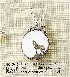 wp071ce6ed_0f.jpg