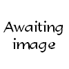 wp32a97b5e.png