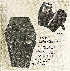 wpdee11208_0f.jpg